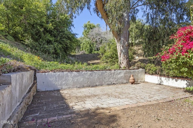2371 Foster Ave, Ventura, CA 93001 - photo 51