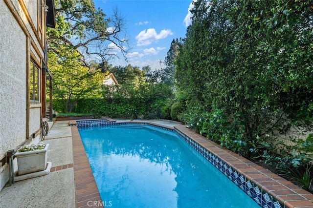 view of swimming pool featuring view of scattered trees