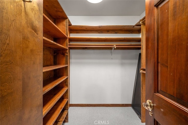 walk in closet with carpet