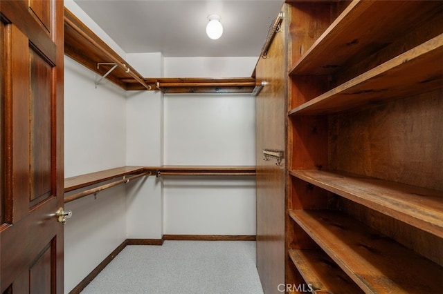 walk in closet with carpet floors