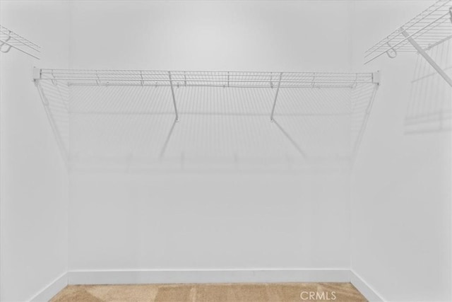 7501 Eagle Dr Unit 101, Santee, CA 92071 - walk in closet featuring light colored carpet