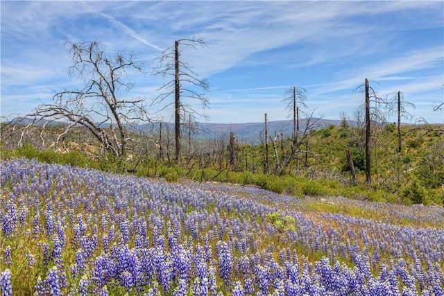 0 Harrison Springs Rd, Oroville, CA 95916 - photo 2