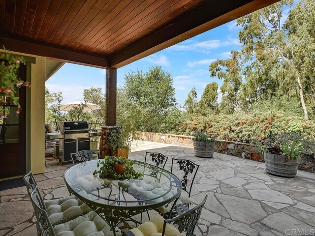 view of patio / terrace with outdoor dining space and grilling area