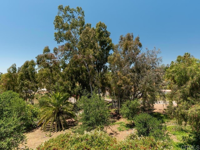 view of undeveloped land