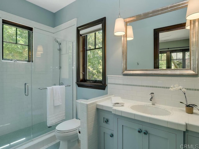 full bathroom featuring a shower stall, vanity, toilet, and plenty of natural light