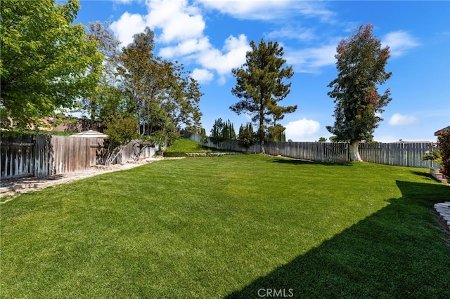 35189 Ravencrest Ct, Yucaipa, CA 92399 - view of yard
