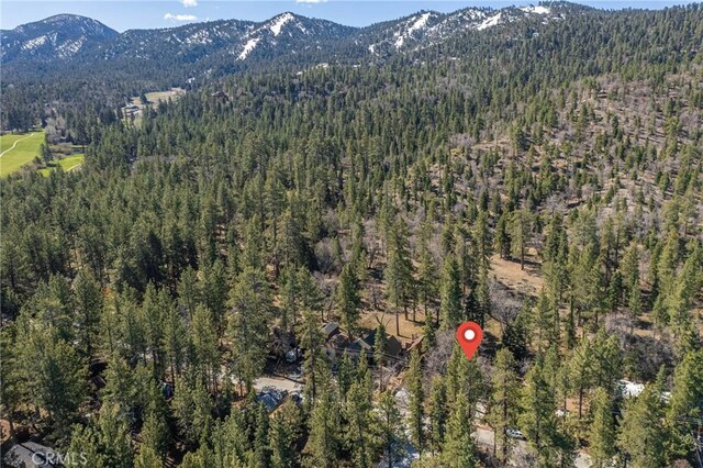 42721 Willow Ave, Big Bear Lake, CA 92315 - photo 26