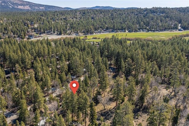 42721 Willow Ave, Big Bear Lake, CA 92315 - photo 27