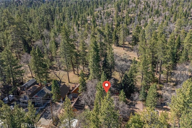 42721 Willow Ave, Big Bear Lake, CA 92315 - photo 25