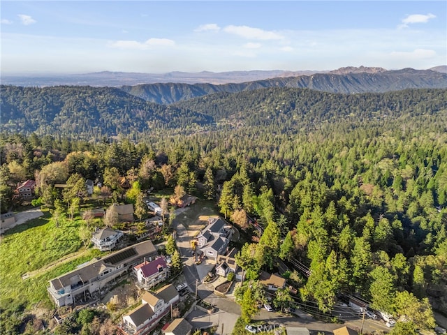 1015 Summit Dr, Crestline, CA 92325 - photo 57