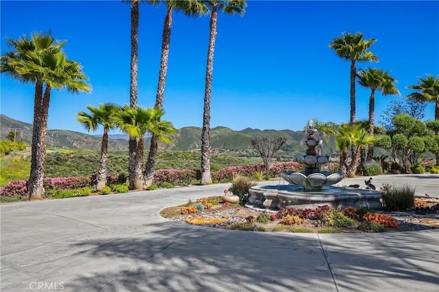 35445 Linda Rosea Rd, Temecula, CA 92592 - photo 75
