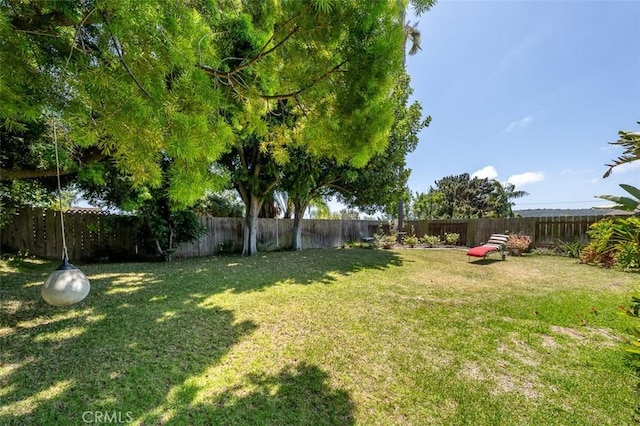 7206 Mimosa Dr, Carlsbad, CA 92011 - view of yard
