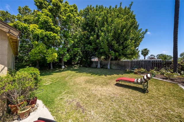 7206 Mimosa Dr, Carlsbad, CA 92011 - view of yard