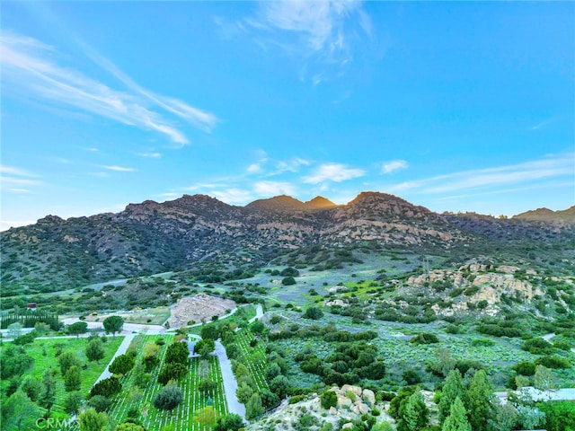 mountain view