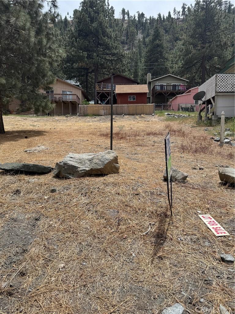 999 Buckthorn Rd, Wrightwood, CA 92397 - photo 3