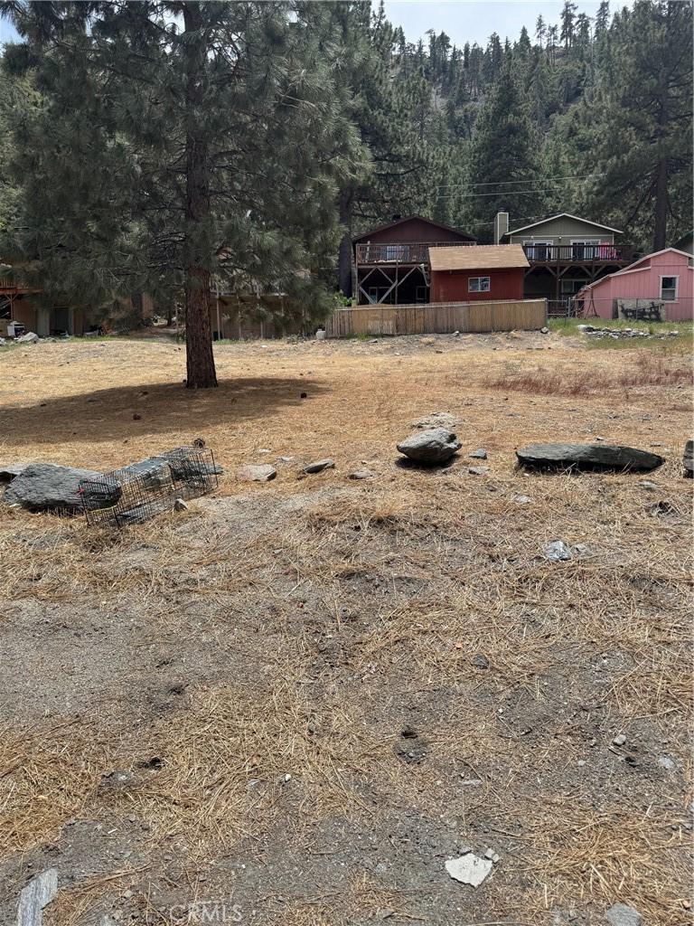 999 Buckthorn Rd, Wrightwood, CA 92397 - photo 2