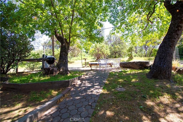 32760 Ram Ln, North Fork, CA 93643 - view of home's community featuring a patio