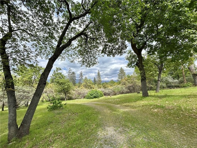 32760 Ram Ln, North Fork, CA 93643 - view of green lawn