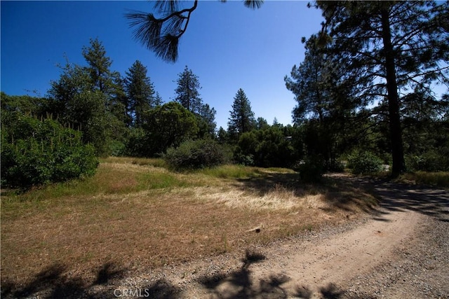 32760 Ram Ln, North Fork, CA 93643 - view of nature