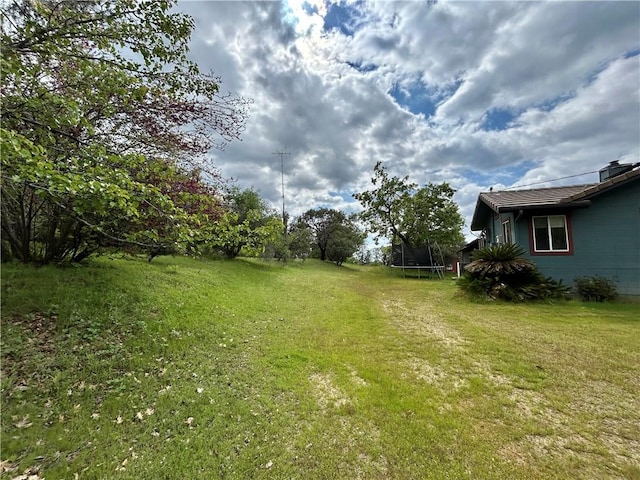 32760 Ram Ln, North Fork, CA 93643 - view of green lawn featuring a trampoline