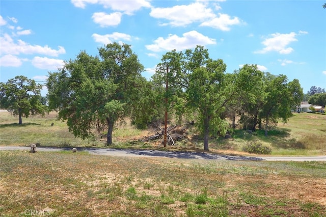 43038 Glacier Ln, Coarsegold, CA 93614 - view of yard
