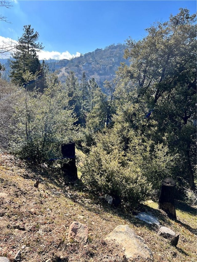 0 Brentwood Dr, Lake Arrowhead, CA 92352