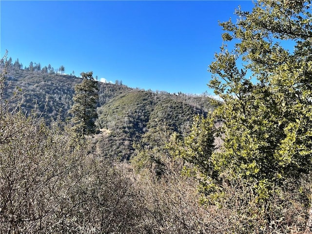 0 Brentwood Dr, Lake Arrowhead, CA 92352