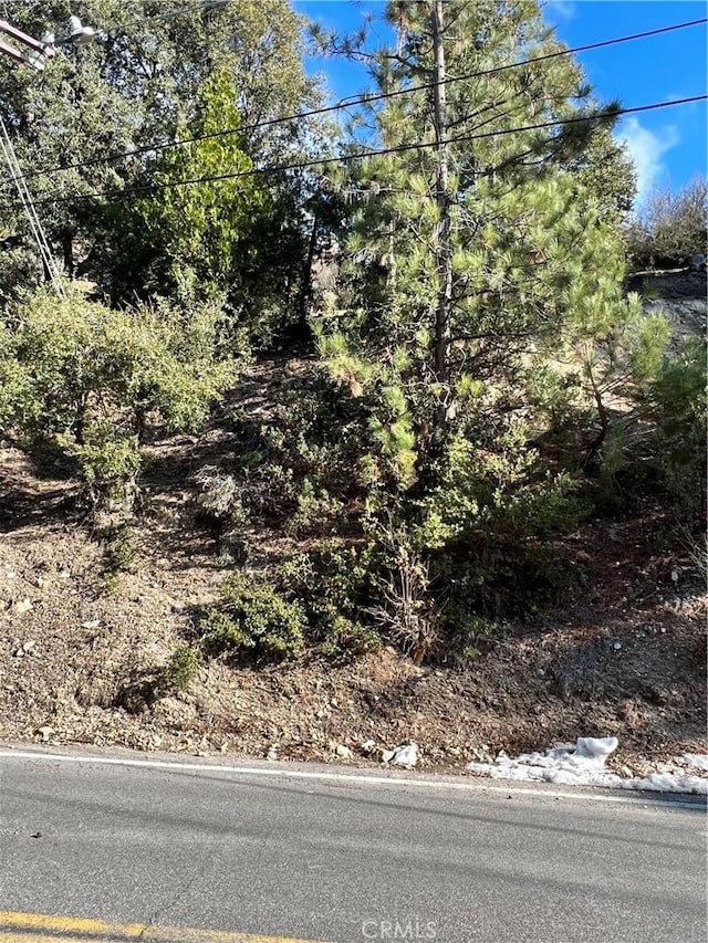 0 Brentwood Dr, Lake Arrowhead, CA 92352