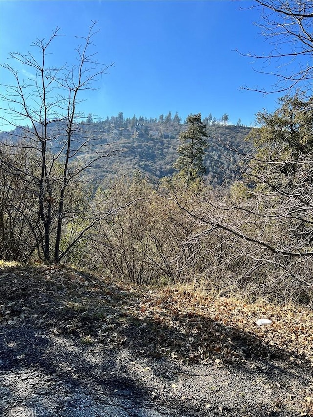0 Brentwood Dr, Lake Arrowhead, CA 92352