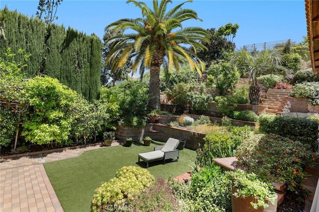 24182 Torena Cir, Mission Viejo, CA 92691 - view of yard
