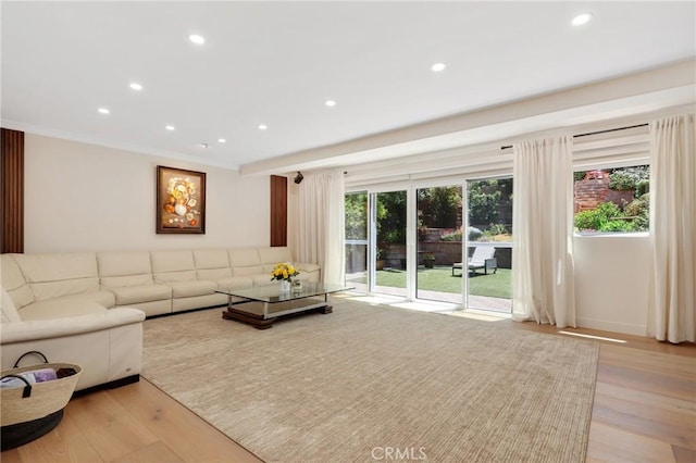 24182 Torena Cir, Mission Viejo, CA 92691 - living area featuring recessed lighting, light wood-type flooring, and crown molding