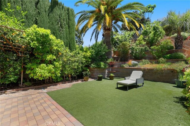 24182 Torena Cir, Mission Viejo, CA 92691 - view of yard featuring a patio area