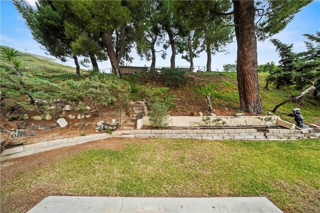 19439 Oak Crossing Rd, Newhall, CA 91321 - view of green lawn