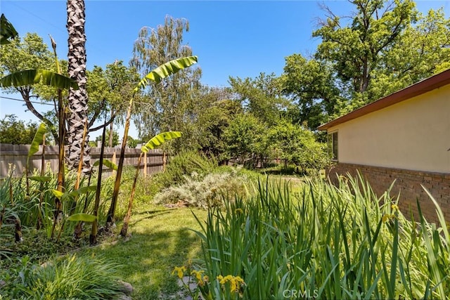 297 Connors Ave, Chico, CA 95926 - view of yard