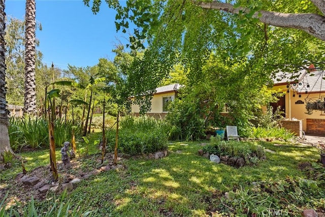 297 Connors Ave, Chico, CA 95926 - view of green lawn