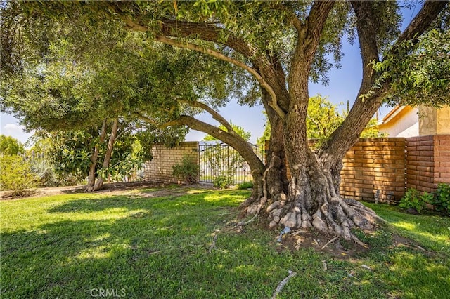 645 Alta Loma Dr, Redlands, CA 92373 - view of yard