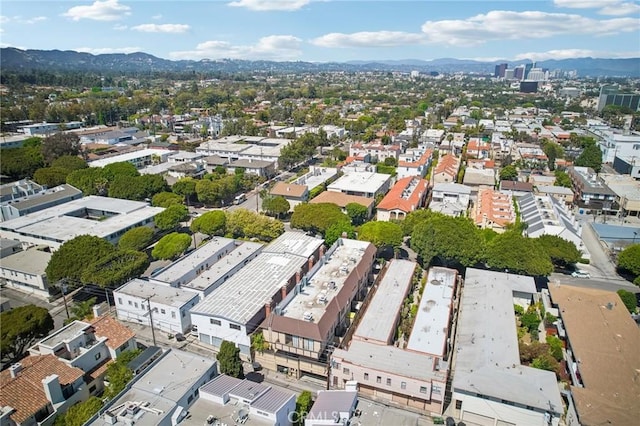 1114 20th St Unit 3, Santa Monica, CA 90403 - photo 42