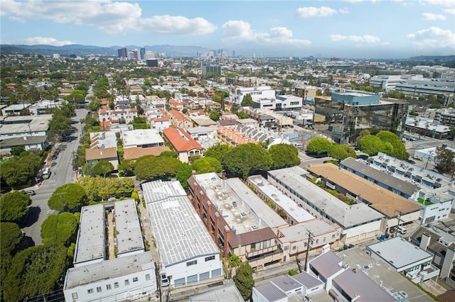1114 20th St Unit 3, Santa Monica, CA 90403 - photo 43