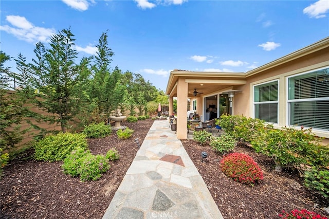 2569 Pasture Gln, Escondido, CA 92029 - fenced backyard with ceiling fan and a patio