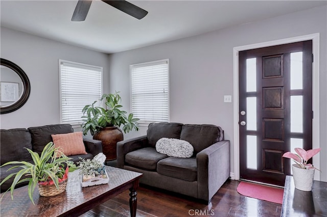 living room featuring a ceiling fan and dark wood-type flooring