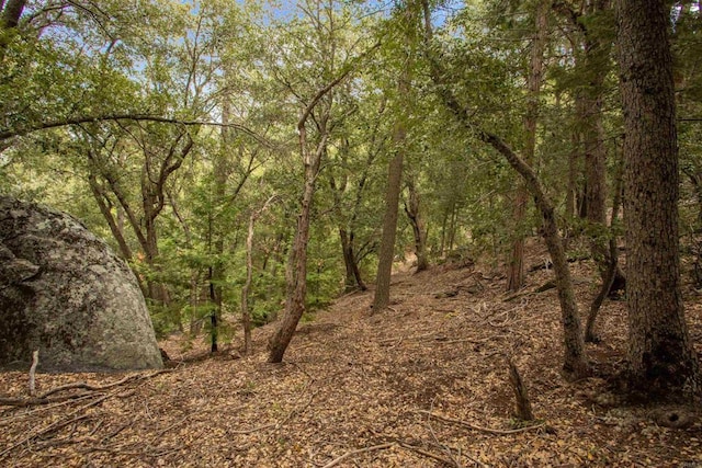 21932 Crestline Rd, Palomar Mountain, CA 92060 - view of woods