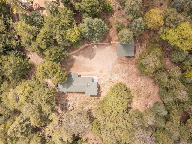 21932 Crestline Rd, Palomar Mountain, CA 92060 - view of property location