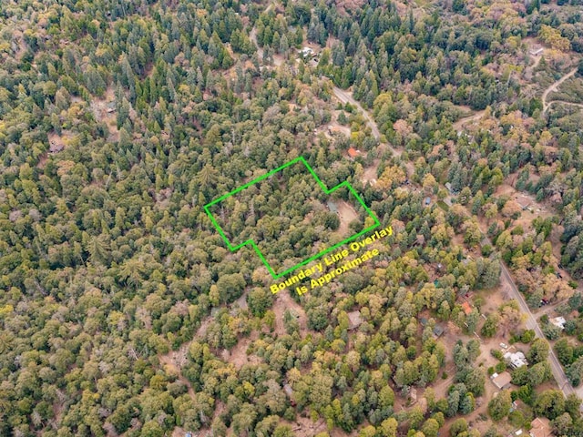 21932 Crestline Rd, Palomar Mountain, CA 92060 - view of property location with property parcel outlined