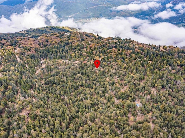 21932 Crestline Rd, Palomar Mountain, CA 92060 - bird's eye view of mountains and a forest