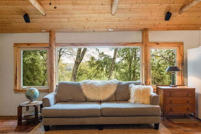 21932 Crestline Rd, Palomar Mountain, CA 92060 - living room featuring healthy amount of natural light, wood finished floors, and wood ceiling