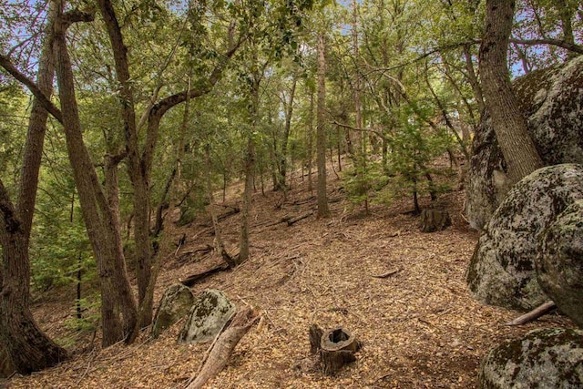 21932 Crestline Rd, Palomar Mountain, CA 92060 - view of tree filled area