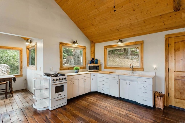 21932 Crestline Rd, Palomar Mountain, CA 92060 - kitchen featuring white gas stove, stainless steel microwave, light countertops, dark wood-style floors, and wood ceiling