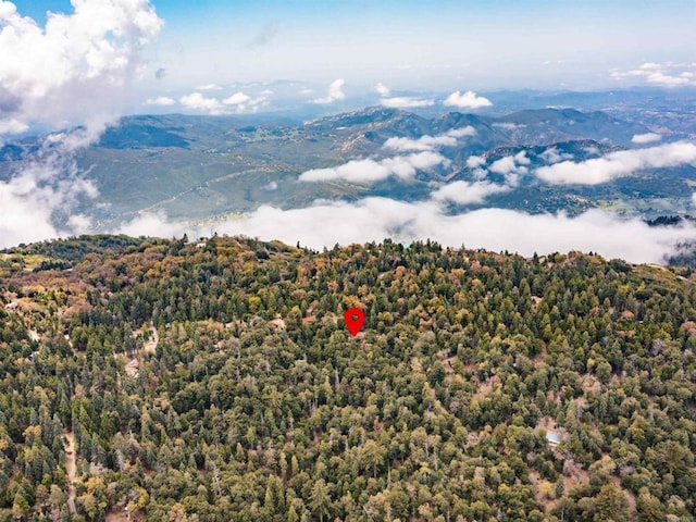 21932 Crestline Rd, Palomar Mountain, CA 92060 - aerial view of mountains and a heavily wooded area