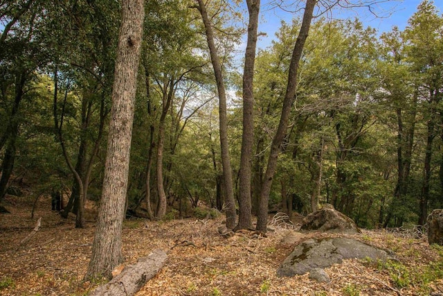 21932 Crestline Rd, Palomar Mountain, CA 92060 - view of wooded area