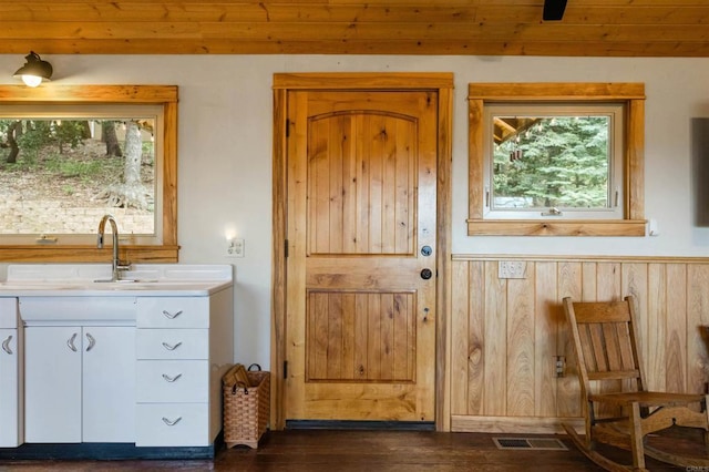 21932 Crestline Rd, Palomar Mountain, CA 92060 - doorway to outside with dark wood-style flooring, a sink, wooden walls, and a wainscoted wall